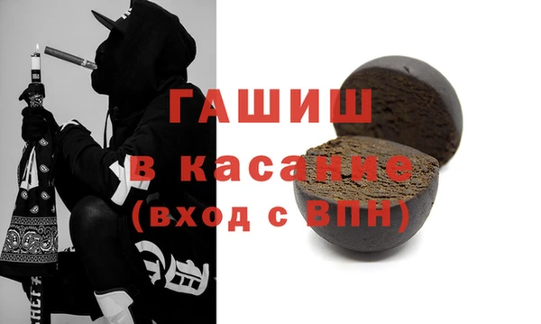 шишки Арсеньев