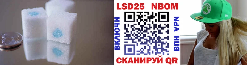 сколько стоит  Ладушкин  Лсд 25 экстази ecstasy 